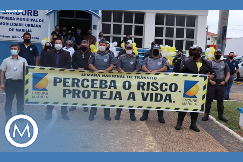 dia mundial sem carro