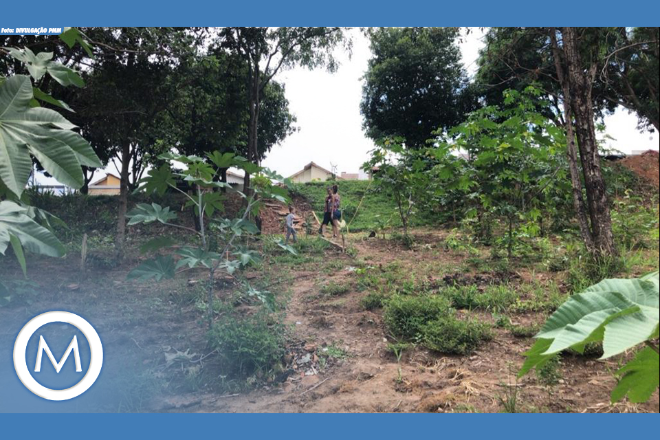 Gestão Participativa