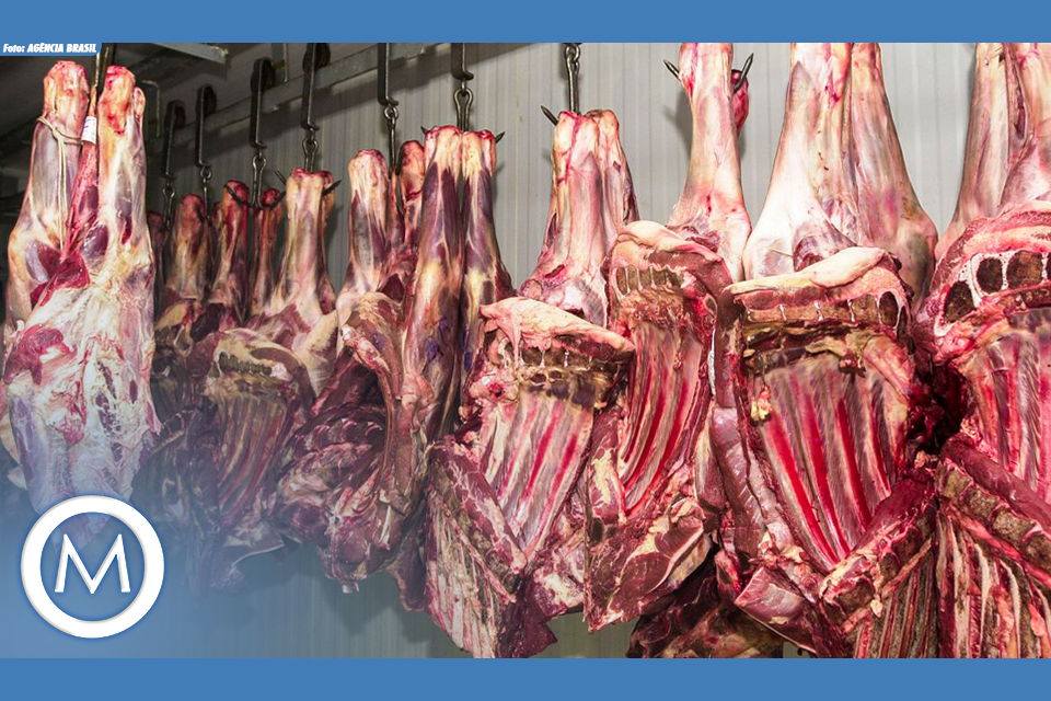 CARNE