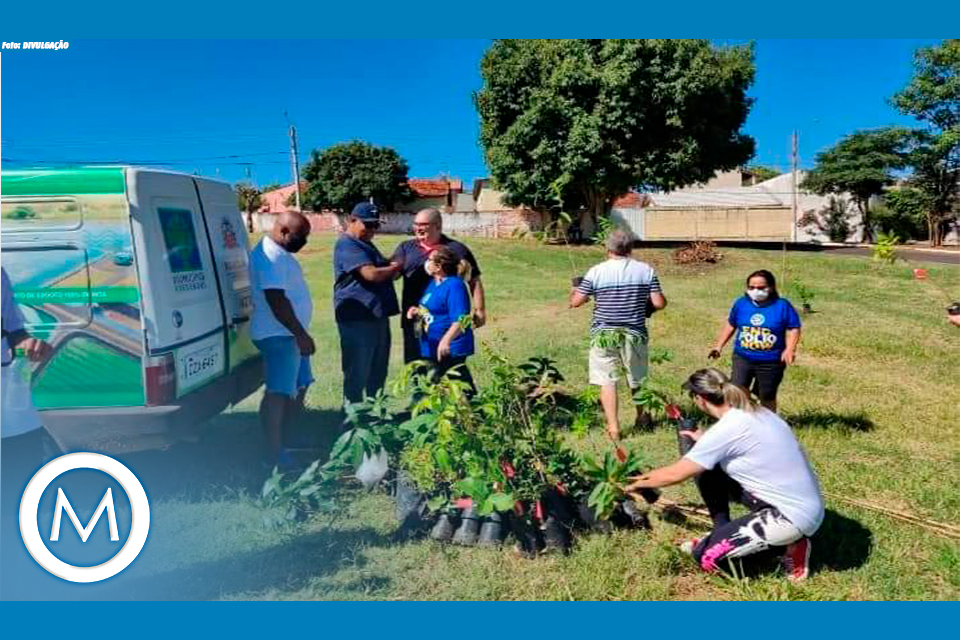 bosque dos pássaros