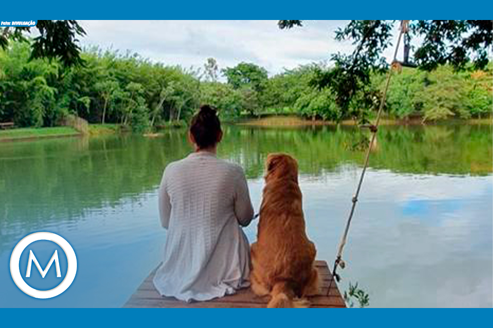 VIAGEM COM PETS
