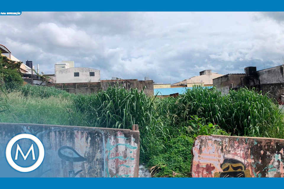 limpeza de lotes particulares