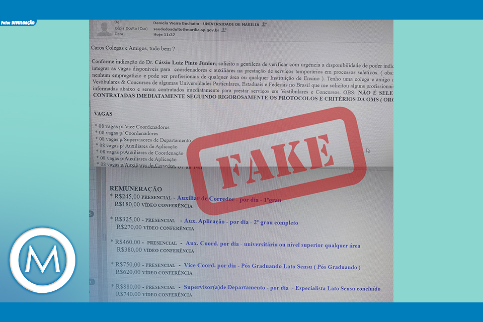 fake news cursos