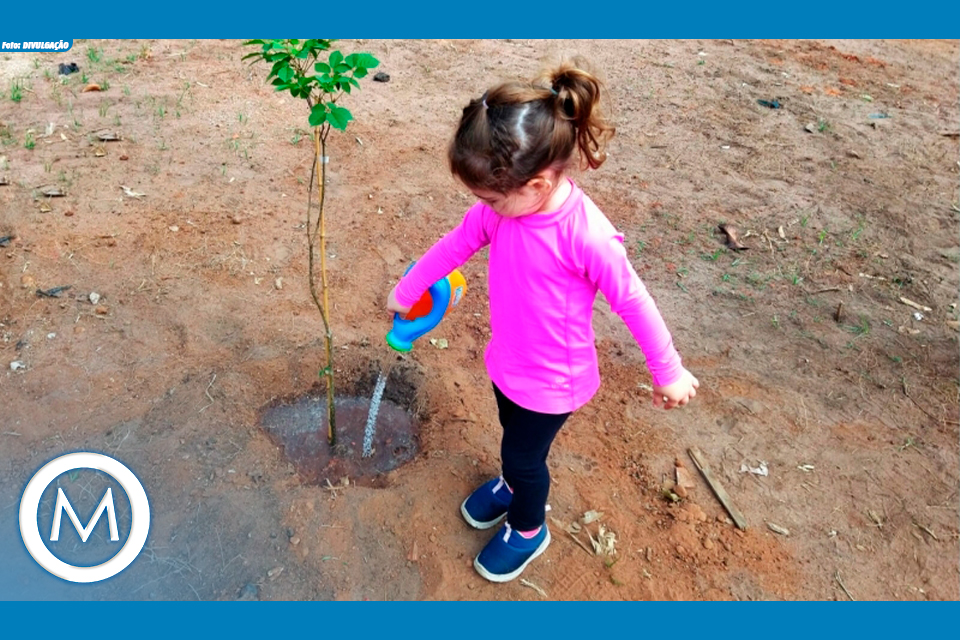 PLANTIO DE ÁRVORES
