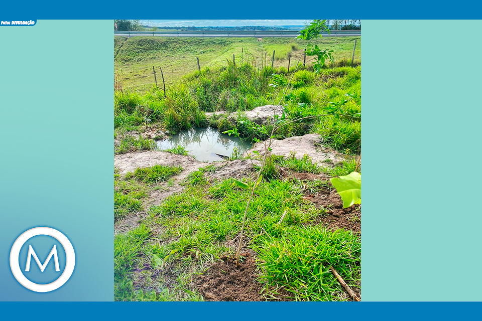 NASCENTE NA ZONA SUL