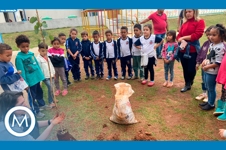projeto minha escola é verde