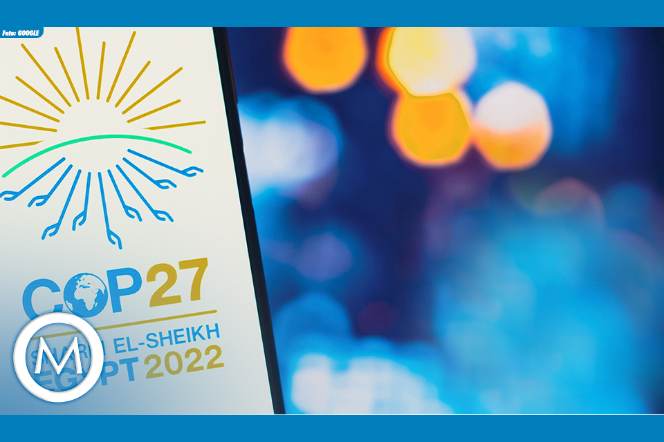 COP27