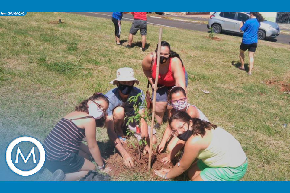 MANUTENÇÃO BOSQUE DOS PÁSSAROS
