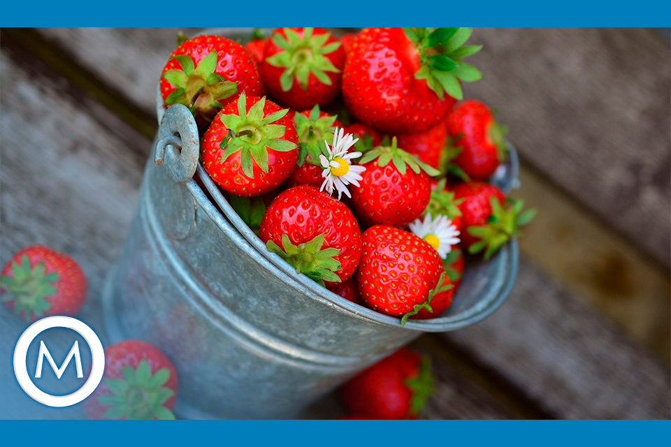 ALIMENTOS QUE TRAZEM FELICIDADE
