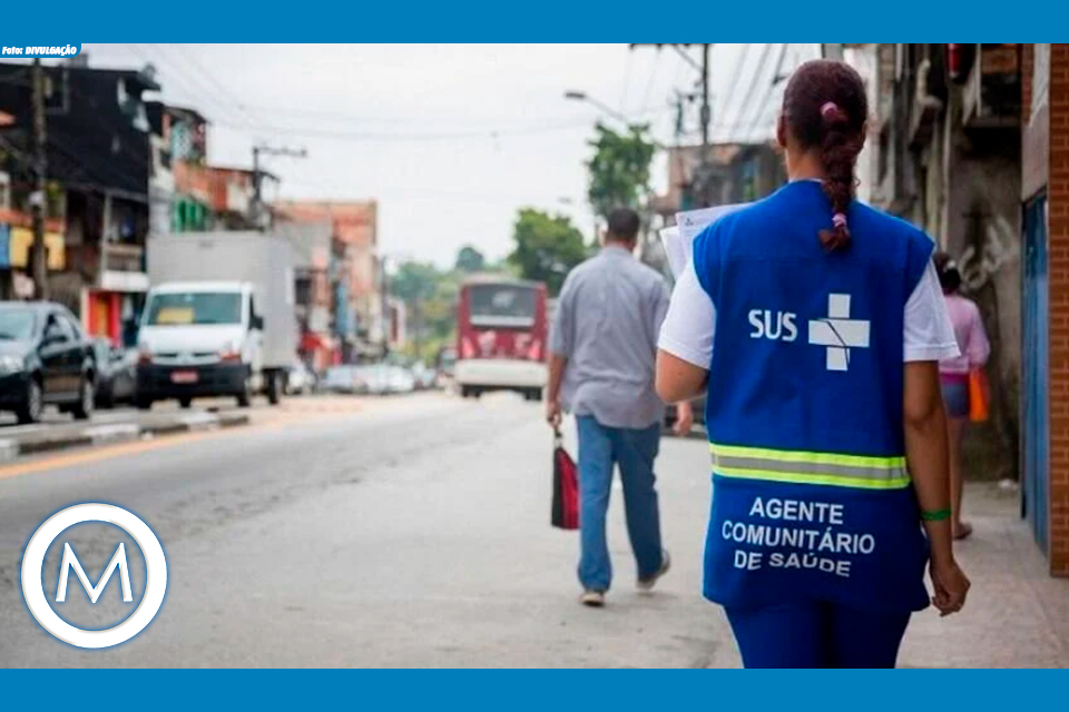 AGENTES COMUNITÁRIOS E PROFISSIONAIS DA SAÚDE