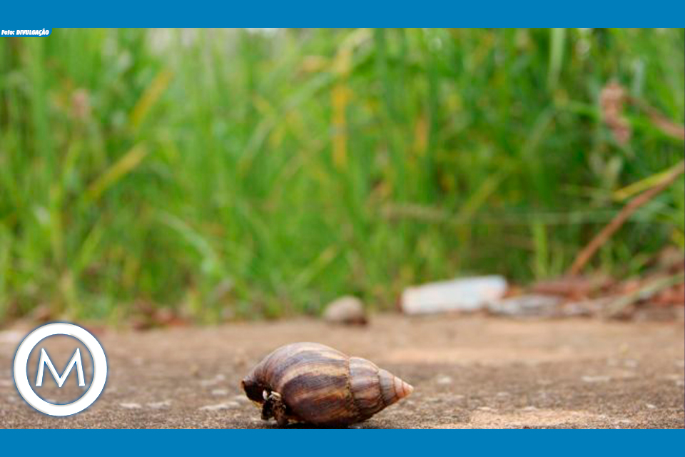 AUTUAÇÕES DA PREFEITURA DE POMPEIA