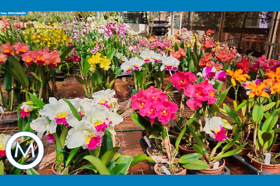 EXPOSIÇÃO NACIONAL DE ORQUÍDEAS