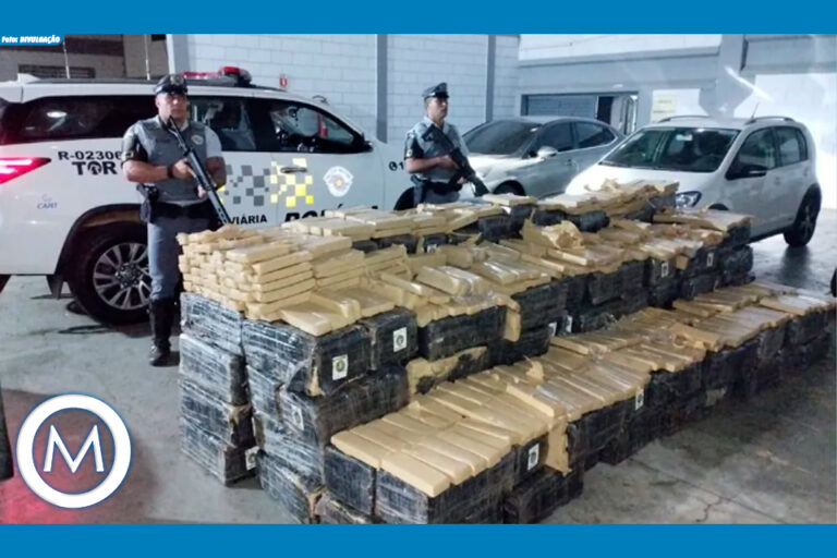 apreensão de maconha em Santa Cruz do Rio Pardo