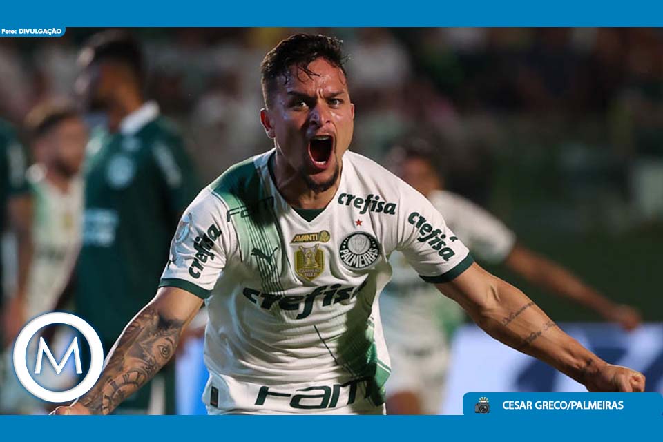 jogo palmeiras e goiás