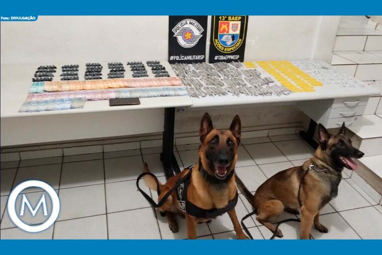 CÃES DA POLICIA PEGAM TRAFICANTE NO TOFFOLI