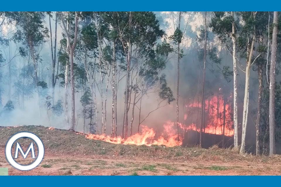 INCÊNDIO EM MARÍLIA ZONA NORTE