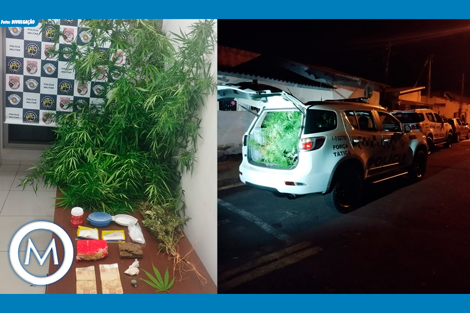 APREENSÃO POR TRÁFICO DE DROGAS EM TUPÃ