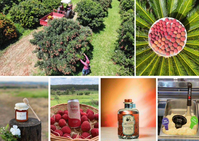 Produtos-derivados-da-lichia-em-SP-mel-kombucha-aguardente-e-gelato-mostram-a-versatilidade-da-cadeia-produtiva-Foto-Lichias-Britchis
