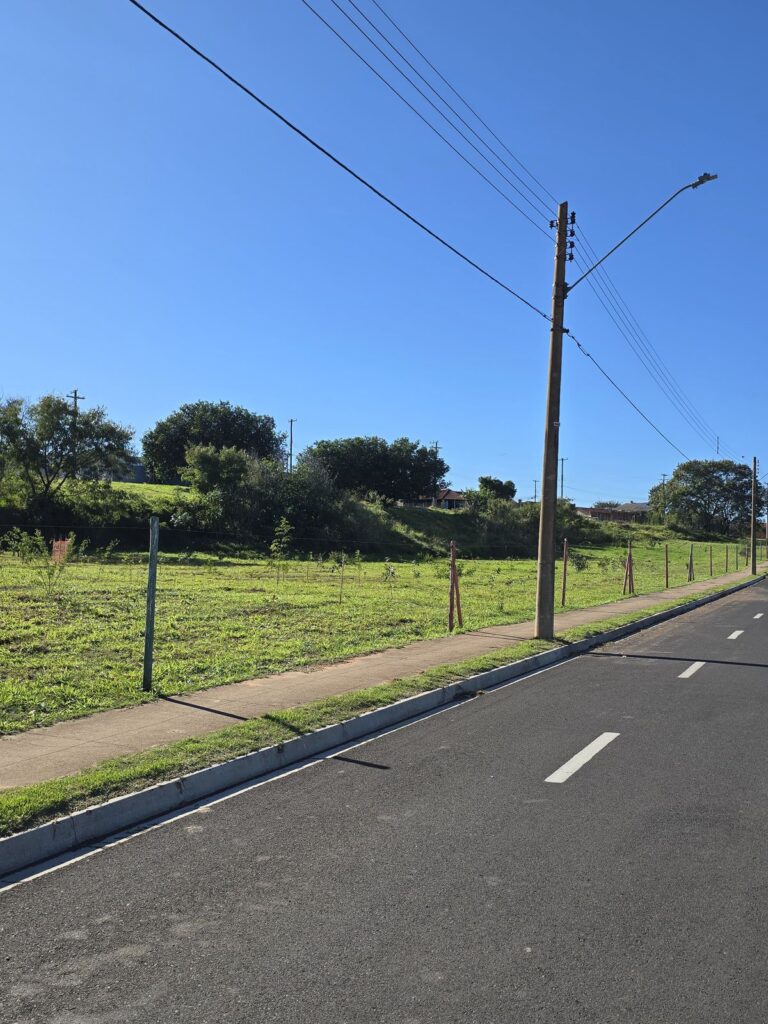 08-07 Prefeitura intensifica cercamento e plantio de áreas públicas para cumprir TACs ambientais3