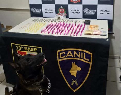 CACHORRO ACHA DROGAS EM POMPEIA