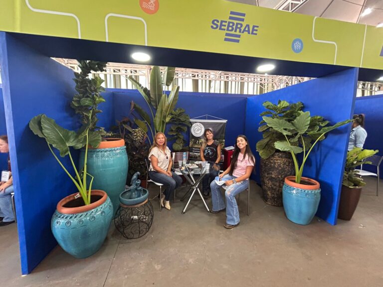 FEIRA SEBRAE