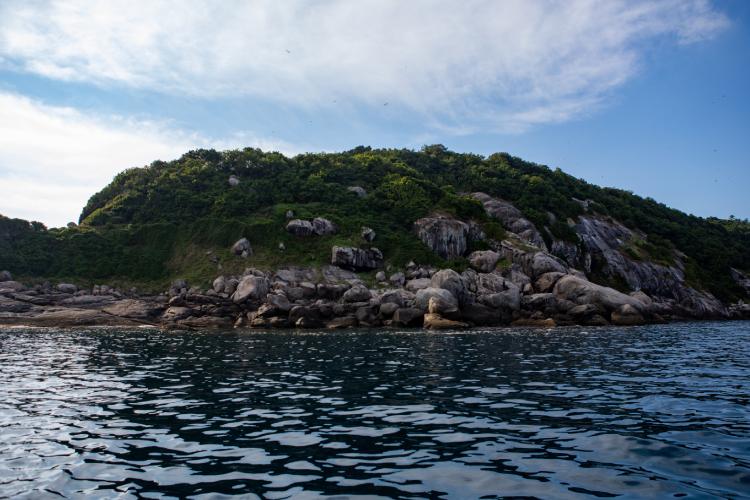 Lenda-diz-que-serpentes-foram-colocadas-na-ilha-para-proteger-tesouro-que-foi-escondido-la-Foto-Marilia-Ruberti-Comunicacao-Butantan