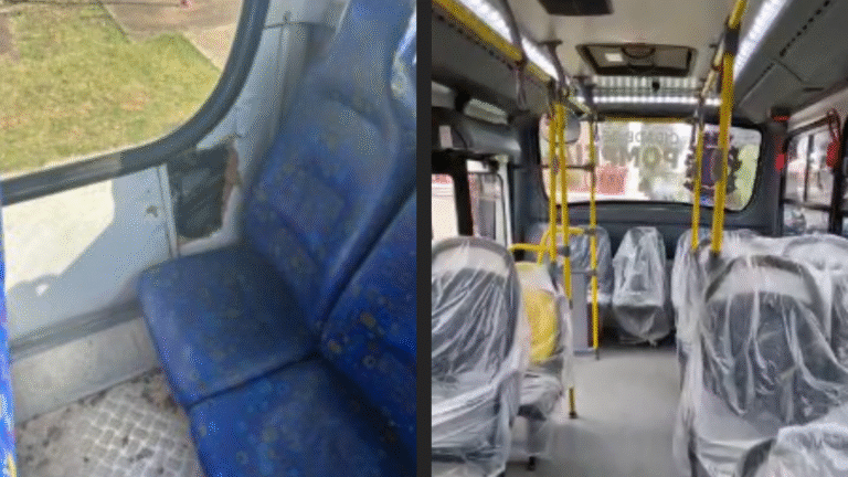ONIBUS POMPEIA COMPARACAO
