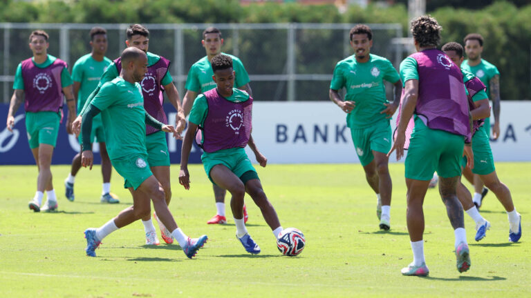 Palmeira-treino-Estevao-03-07-2025