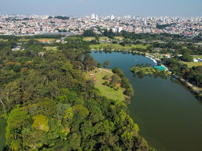 Parques-1024x768-1
